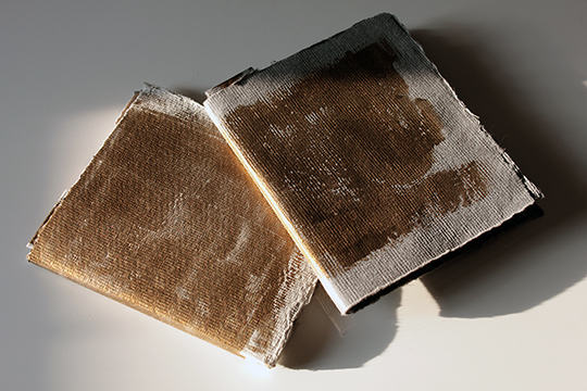nagajna - artist's book - Prospero's books