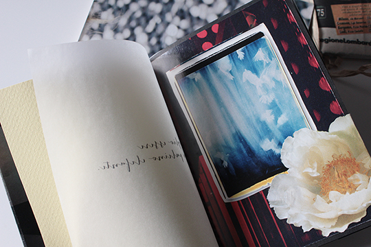 nagajna - artist's book - pulcinoelefante