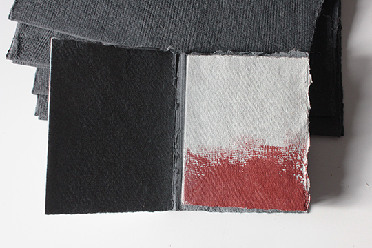 nagajna - artist's book - Instax-book