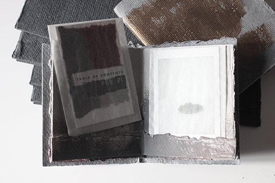 nagajna - artist's book - Instax-book