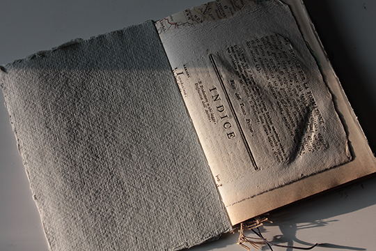 nagajna - artist's book - il castello dei destini incrociati