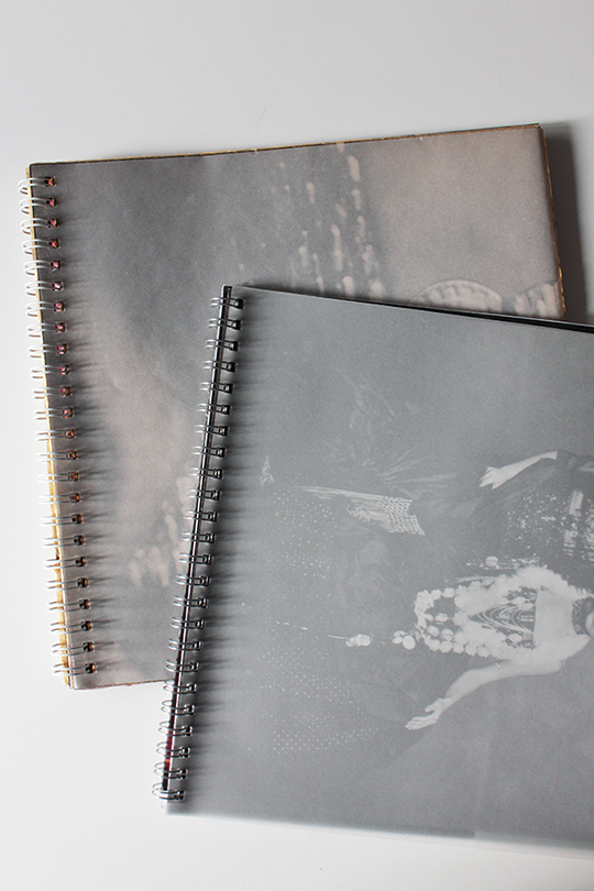 nagajna - artist's book - rose