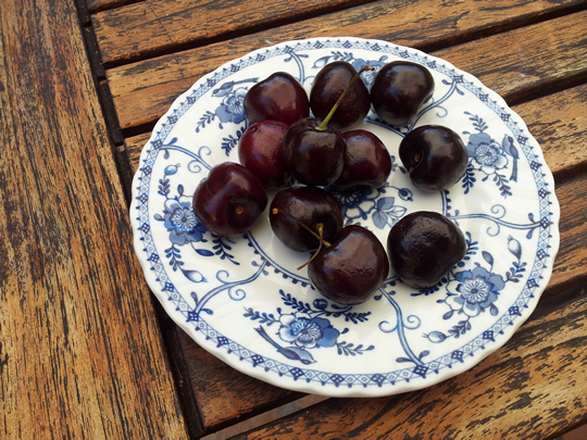 nagajna - photography - black cherries