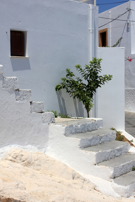 nagajna - photography - white