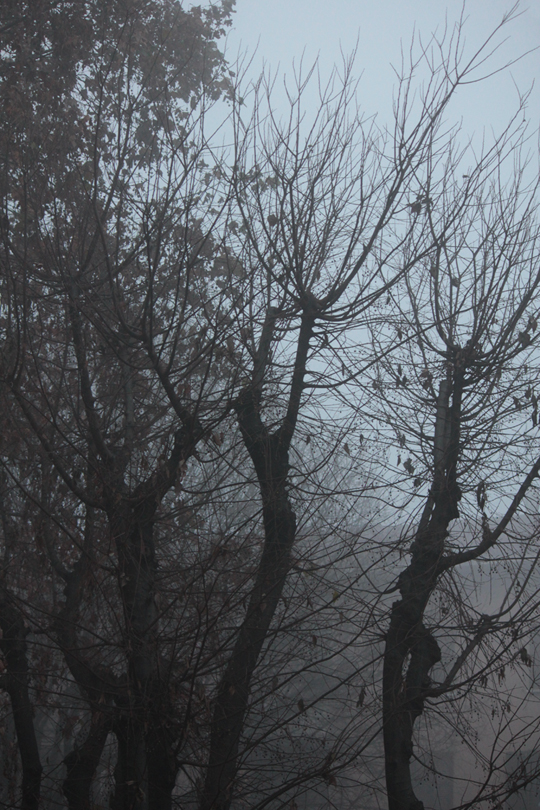 nagajna - photography - haze