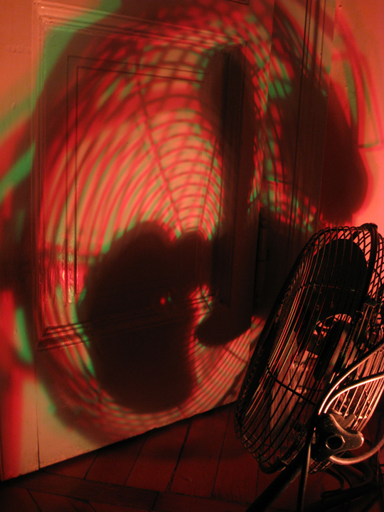 nagajna - photography - orange