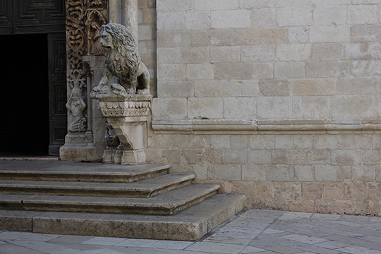 nagajna - photography - lion