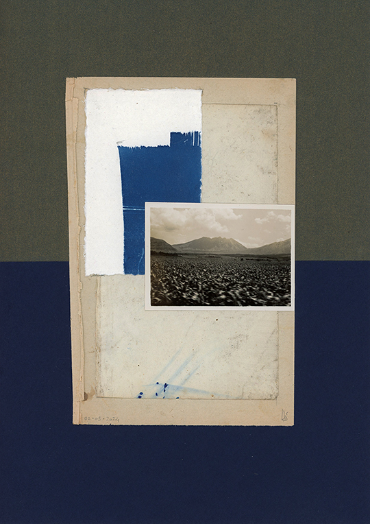 nagajna - collage - others' memories