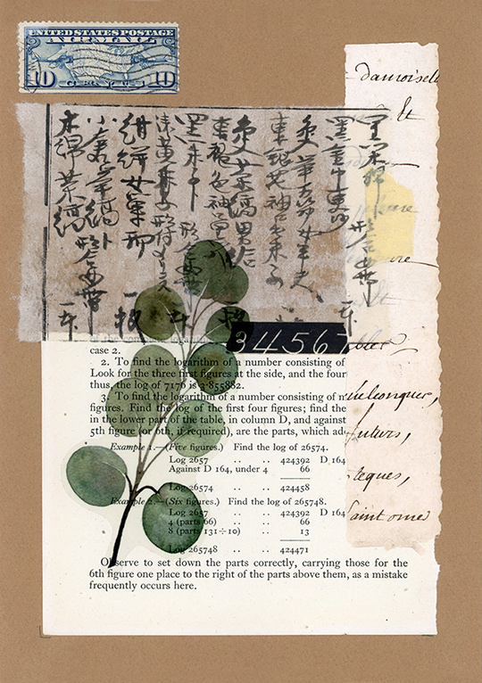 nagajna - mixed media - Botanical