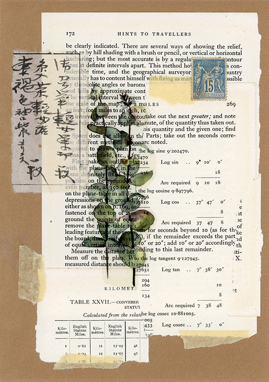 nagajna - mixed media - Botanical