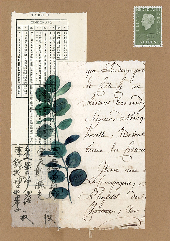 nagajna - mixed media - Botanical