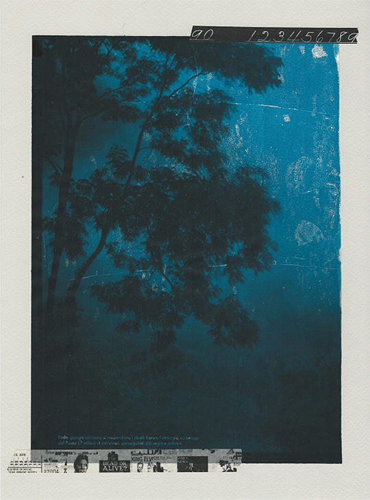 nagajna - mixed media - blue forest