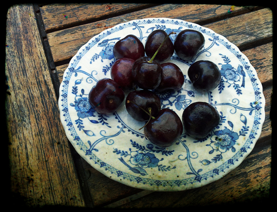 nagajna - photography - black cherries