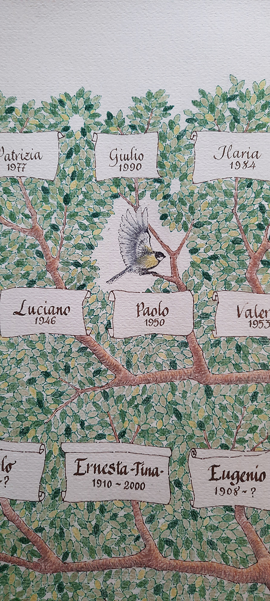 Cincia
